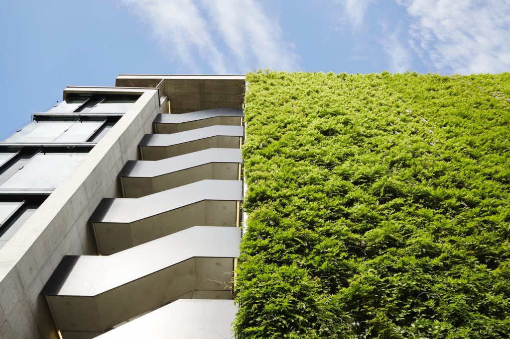 Sustainable Green Wall